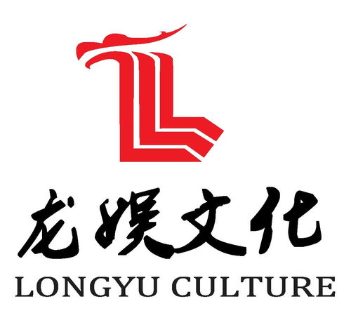 厦门龙娱文化传播