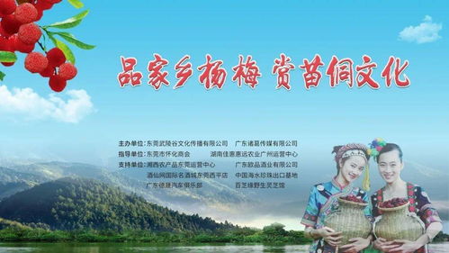 品家乡杨梅 赏苗侗文化