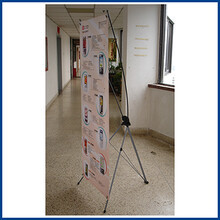 青岛彩虹心文化传播 架设多元文化交流的桥梁