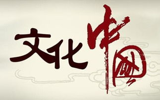 中国文化传媒网 文化传播的数字化先锋